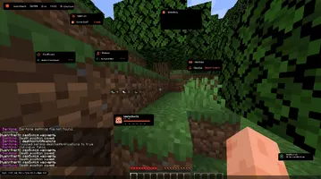 Releon Client (CRACK)
